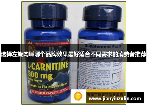 选择左旋肉碱哪个品牌效果最好适合不同需求的消费者推荐