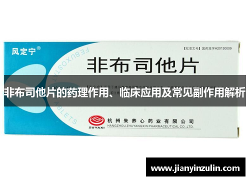 非布司他片的药理作用、临床应用及常见副作用解析